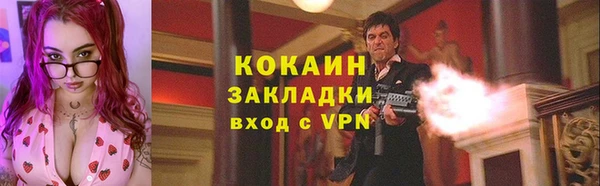 сатива Аркадак