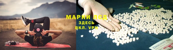 сатива Аркадак