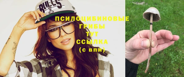 бошки Алексеевка