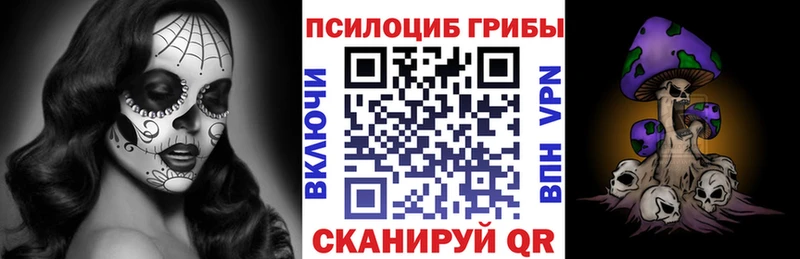 купить  сайты  Кашин  Псилоцибиновые грибы прущие грибы 
